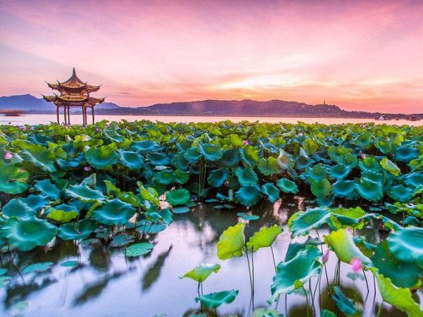 1575442052131405.jpg 5.jpg